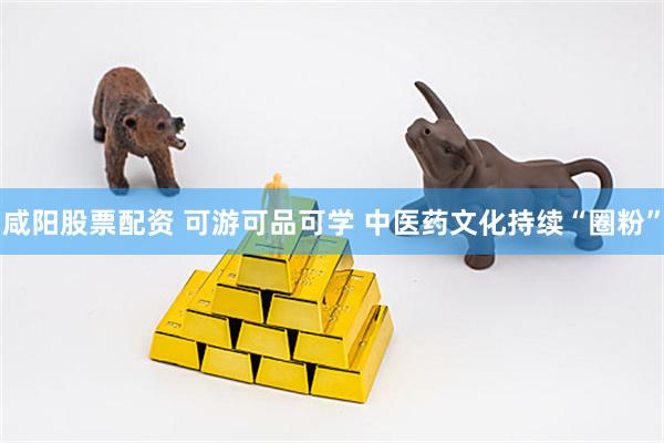 咸阳股票配资 可游可品可学 中医药文化持续“圈粉”